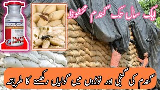 How to wheat storage  Gandam ki Ganji me Goliyan rakhny ka tarika  YASIR AGRO CHEMICALS [upl. by Elamef]