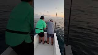 Catching blackfin while watching the sun go down offshore [upl. by Kissel]