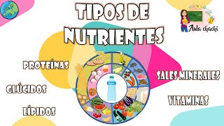 Tipos de Nutrientes  Aula chachi  Vídeos educativos para niños [upl. by Ehav]