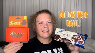 Dollar Tree Haul ❤️ New Finds  August 6 2024 [upl. by Fredel447]