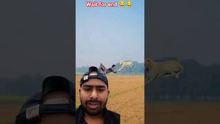 comedy funnyvideo shortsrealfools realfoolsteam greenscreenreaction viralvideogabbar back [upl. by Clari]