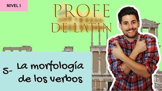 5 La morfología de los verbos Nivel 1 [upl. by Alatea]