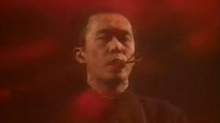 平沢進 Susumu Hirasawa  Echoes Live 1995 [upl. by Donelson414]