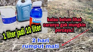 CARA MEMPERBANYAK RACUN RUMPUT  CARA MEMBUAT HERBISIDA [upl. by Azilef]