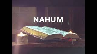 Nahum Spanish  Good News  Audio Bible [upl. by Cristian908]