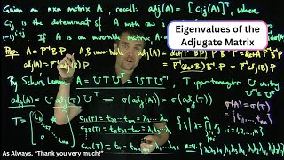 The Eigenvalues of the Adjugate Matrix [upl. by Estele]