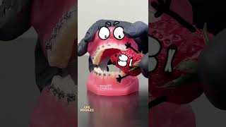 Life Doodles  Teeth bite strawberries 🍓 lifedoodles doodle shorts strawberry shortvideo [upl. by Ayekin]