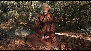 The Pebble Meditation  guided meditation for children offered by Thay Phap Luu [upl. by Jemy882]