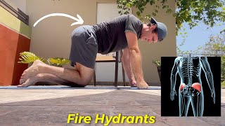 Best Exercises For Gluteus Medius amp Minimus TOP 4 [upl. by Eiuqram]