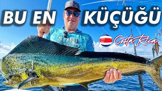 Türkler Kosta Rika’da Rekorlara Doymadı  BLUE MARLIN SAILFISH MAHI MAHI [upl. by Genet]