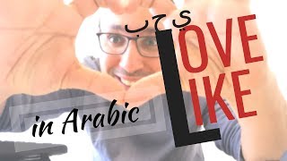 The verbs quotLOVEquot and quotLIKEquot What is the Corresponding Meaning in Arabic [upl. by Ebony]