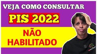 ABONO SALARIAL NÃO HABILITADO  Trabalhador já pode consultar se tem direito ao abono PISPasep 2022 [upl. by Rann591]