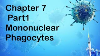 Chpter 7  Part 1 Mononuclear Phagocytes in Immune Defense [upl. by Twelve713]