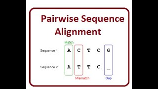 Pairwise Sequence Alignment  2024 [upl. by Nilram]