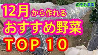 【12月の野菜】12月から作れるおすすめ野菜を10個紹介します。作り方、夏野菜までに収穫が終わるかなども解説します。保温が必要かどうかも。 [upl. by Isus]