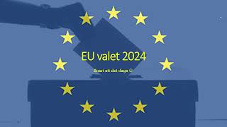 EU valet 2024  De viktigaste frågorna och vad de olika svenska partierna tycker amp tänker [upl. by Illac]