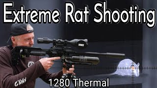 EXTREME RAT SHOOTING with 1280 thermal and an air rifle [upl. by Elbertina504]