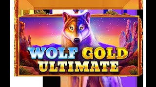 Wolf Gold Ultimate Decent Session [upl. by Refinnaej]