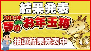 【2024年福袋】今年の運の集大成！【ヨドバシドットコム】 [upl. by Juliet]