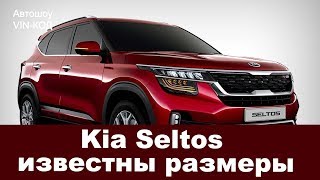 Kia Seltos известны размеры [upl. by Gerhardt]