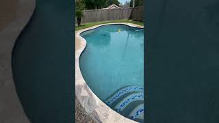 Toscano Pool Plaster  Stonescapes Mini Pebble  Pool Remodel [upl. by Isador]