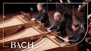 Bach  Concerto for three harpsichords in D minor BWV 1063  Mortensen  Netherlands Bach Society [upl. by Ybreh]