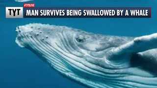 Man Survives Being SWALLOWED By A Whale [upl. by Esau]