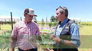 Productor de granos estuvo Jornada de Procave y desea incursiona en horticultura [upl. by Madid]