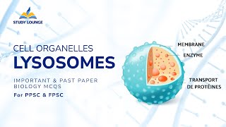 LYSOSOMES Cell Organelle MCQs for Lecturer Biology PPSC amp FPSC [upl. by Yendirb417]