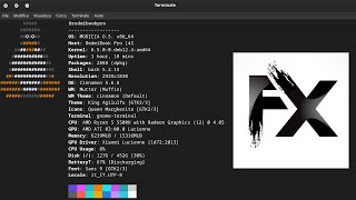 Install Delir Video FX in Linux MODICIA OS calamares configure linux technology [upl. by Fernandes]