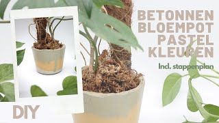 DIY  BLOEMPOT VAN BETON  ZELF MAKEN  HANDLEIDING [upl. by Anaele]