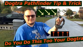 Dogtra Pathfinder Keep Your Antenna Safe [upl. by Nefets537]