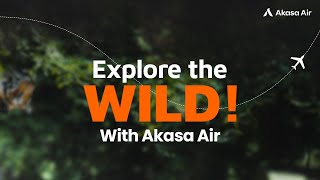 Explore Wildlife with Akasa Air Flights to Mumbai Delhi Guwahati amp Kochi [upl. by Cavit61]