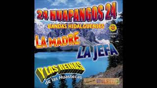 Bandas Hidalguenses  24 Huapangos Disco Completo [upl. by Lotson]