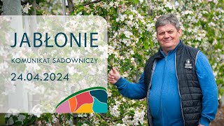 Komunikat sadowniczy Jabłonie  24042024  Zbigniew Marek [upl. by Milinda441]