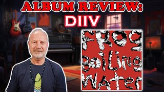 DIIVs Frog In Boiling Water  A Deep Dive Review [upl. by Daph535]