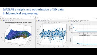 MATLAB analysis and optimization of 3D data in biomedical engineering [upl. by Nivert]