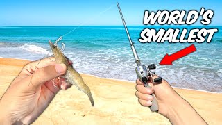 Worlds SMALLEST Fishing Rod vs OCEAN Actually Works [upl. by Sivrup]