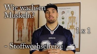 Wie wachsen Muskeln 1 x 1  Stoffwechselreize [upl. by Carmencita]