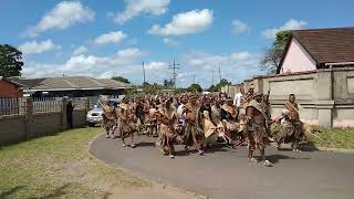 AMABUTHO KAZULU AT PRINCE SIMAKADE KAZWELITHINI ZULU WEDDING [upl. by Nika181]