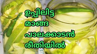 Manga Uppilittathu  മാങ്ങ ഉപ്പിലിട്ടത്  Palakkad Style How to make uppilitta manga in malayalam [upl. by Gensmer]