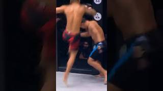 Flying knee knockout muaythai mma kickboxing [upl. by Therine]