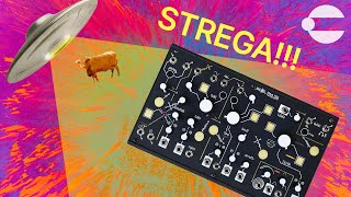 Make Noise Strega  We Shocked Ourselves With It [upl. by Avenej804]