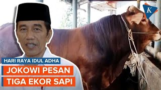 Jelang Idul Adha Jokowi Pesan Tiga Sapi Berbobot 1 Ton Lebih [upl. by Renaxela189]