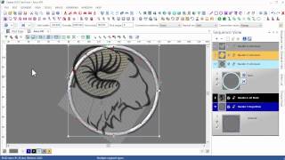 DG15 Quick Tip Tutorials line carving in steil segments [upl. by Nihi475]