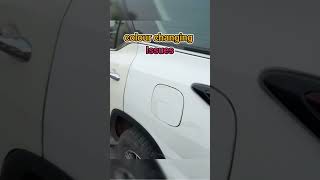 Low Quality PPF వల్ల కలిగే నష్టాలు paintprotectionfilm ppf cardetailing caraccessories newcar [upl. by Dionisio591]