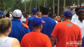 Florida Gators Orange amp Blue Debut Gator Walk [upl. by Westmoreland]