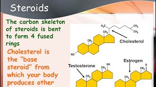 Steroid biochemistry [upl. by Lisle]