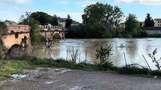 CERTALDO SITUAZIONE FIUME ELSA E TORRENTE CASCIANO DOPO L’ALLUVIONE DEL 17 OTTOBRE  4K [upl. by Hanid]