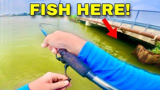 BANK FISHING these POPULAR SPOTS for my DINNER Catch Clean and Cook [upl. by Arrik]